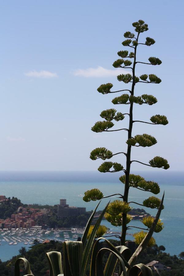 Agave Di Lericiヴィラ エクステリア 写真