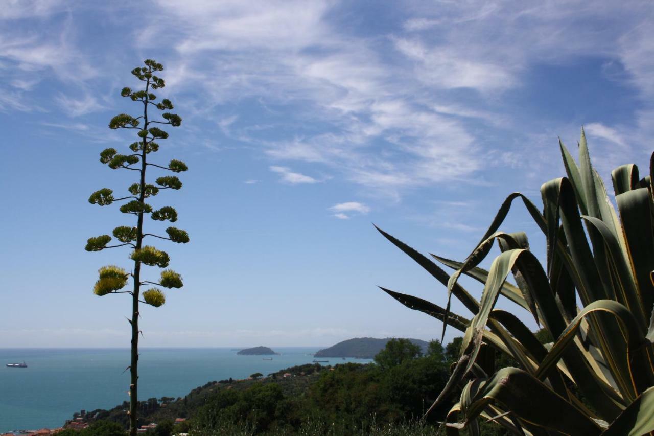 Agave Di Lericiヴィラ エクステリア 写真